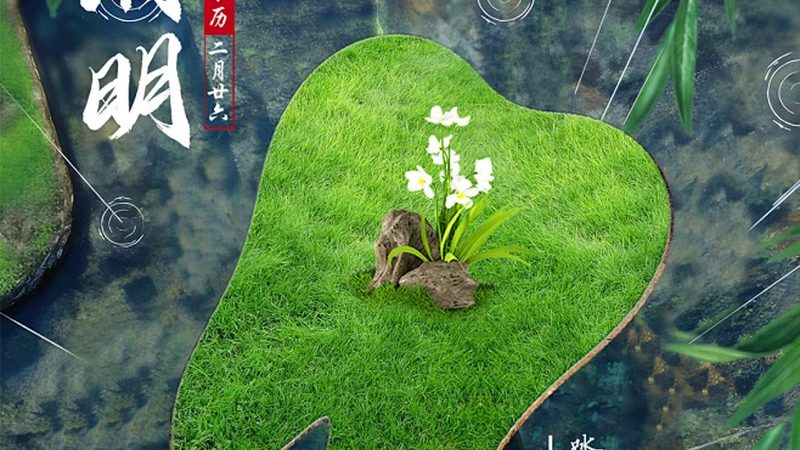 深圳牙齿矫正，拔牙费用另算吗？揭秘费用构成与透明度**