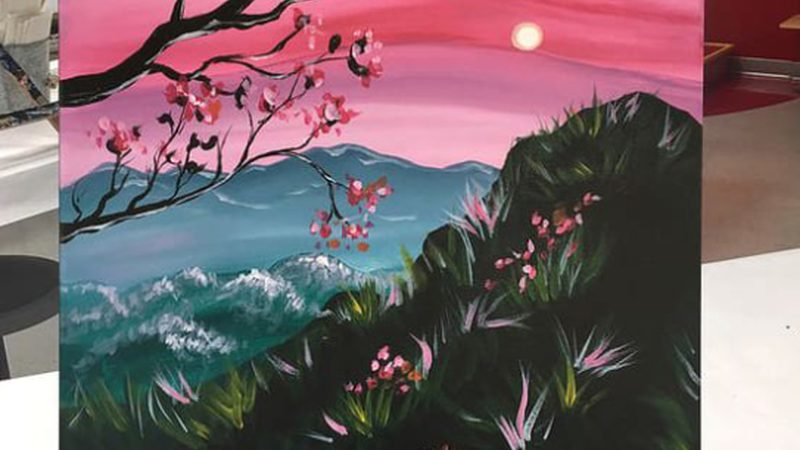 儿童MRC肌功能矫治器：揭秘其原理与选型要点